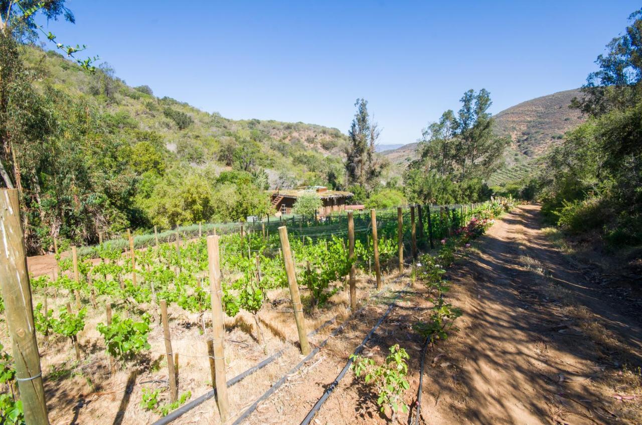 Cabana Con Tinaja En Vina Narbona Wines Panzió Quillota Kültér fotó